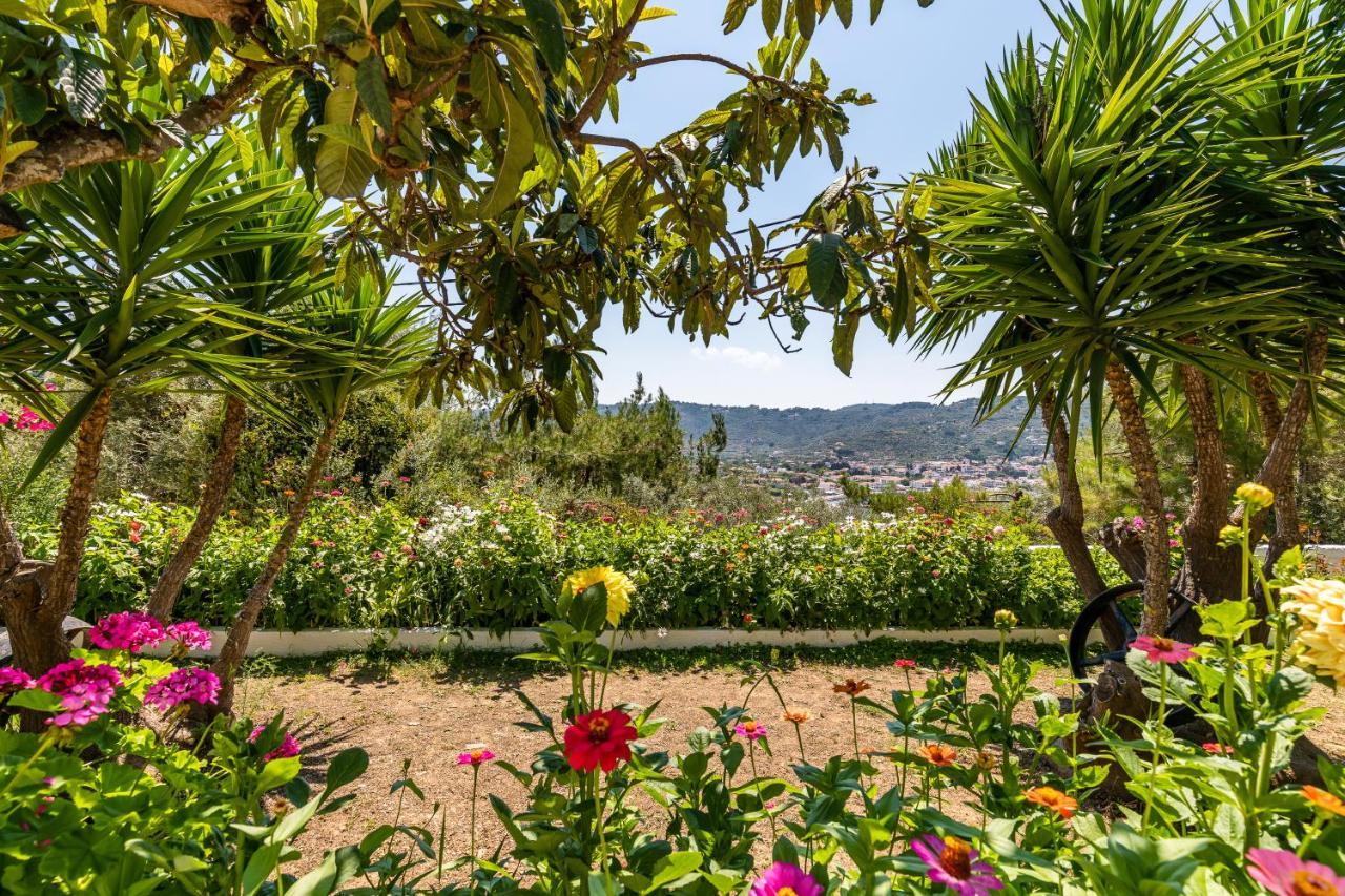 סקופלוס טאון Ourania Apartment מראה חיצוני תמונה